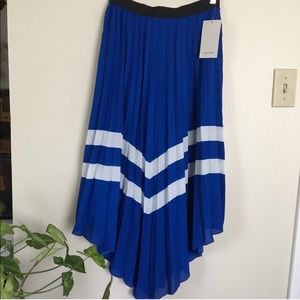 Zara pleated skirt